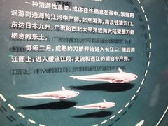 -中国湿地博物馆