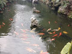 -国恩寺