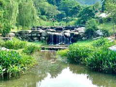 -东莞植物园