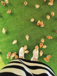 -萌宠亲子动物乐园(槐房万达店)