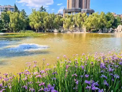-西安市长乐公园