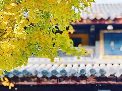 -龙华寺