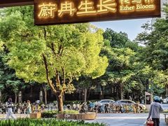 -瑞虹新天地月亮湾