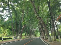 -棒棰岛宾馆景区