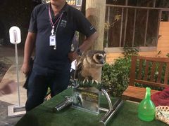 -清迈夜间动物园