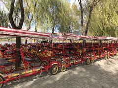 游乐设施-野鸭湖国家湿地公园