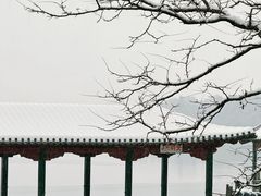 -颐和园
