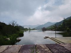 -王莽岭风景区