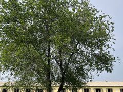 -北京群众马术培训基地