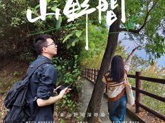 -羚羊峡古栈道森林公园