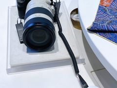 -Sony Store索尼(深圳深业上城店)
