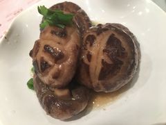 蚝油冬菇-池记(尖沙咀店)