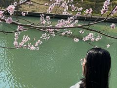 -白塘生态植物园