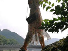 -溪口-滕头旅游景区