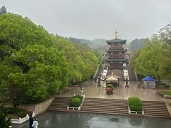 -庐山风景名胜区-东林大佛