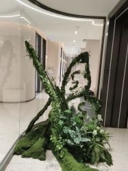 -杭州米兰柏羽医疗美容医院