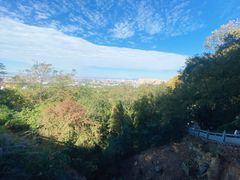 -神光山国家森林公园