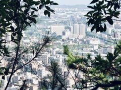 -草庵摩尼教遗址公园