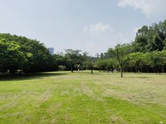 -南沙蒲洲花园