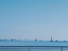 -上海吴淞炮台湾国家湿地公园