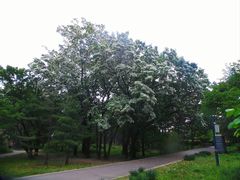 -国家植物园南园