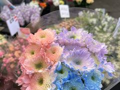 -循礼门鲜花花市(武汉循礼门店)