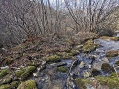 -秦岭风景区