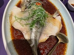 -喜粤8号(四海唐人街店)