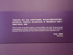-德基艺术博物馆