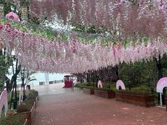 -金鸡湖桃花岛