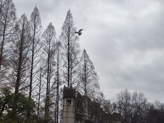 -音乐台