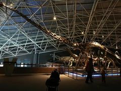 -世界恐龙谷景区