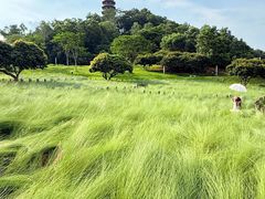 -红花山公园
