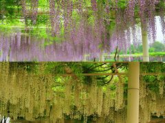 -下渚湖国家湿地公园科普馆