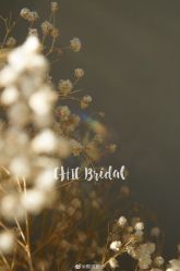 -Chic Bridal 熙可婚纱