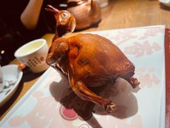 -大鸽饭(岗顶店)