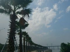 -宝安西湾红树林湿地公园