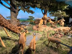 -国家自然博物馆