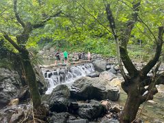 -石台牯牛降景区