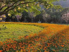 -南沙蒲洲花园