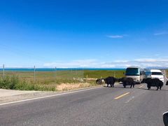 -青海湖国家重点风景名胜区