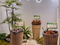 -骨之味·筒骨汤火锅(江头店)