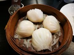 招牌虾饺皇-添运来(茶园奥园广场店)