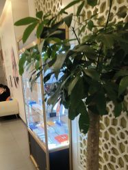 -苏亚医美·高端注射明星整形机构