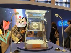 -中国国家博物馆-地上停车场