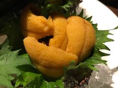 -Hatsune隐泉日式料理(三里屯太古里店)