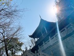 -金山公园