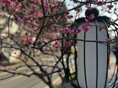 -章云板鸭(马道街店)