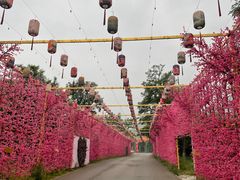 -北京凤凰岭