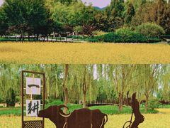 -北坞公园